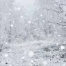 LetItSnow